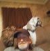 Profile Picture of Alvin Brock (@alvin.brock.142) on Facebook