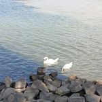 Profile Picture of Christine Winkler (@christine.winkler.908) on Instagram