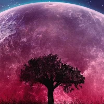 Profile Picture of Randy Rex (@Randyrex20) on Twitter