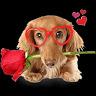 Profile Picture of jessica booher (@@user7902298665306) on Tiktok