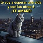 Profile Picture of Lily Campos (@asuman.castromeza) on Facebook