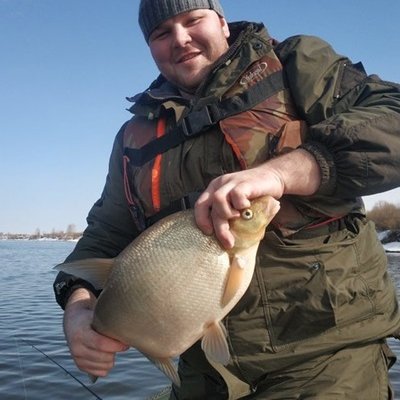 Profile Picture of Joyce Todd (@eredecar1978) on Twitter