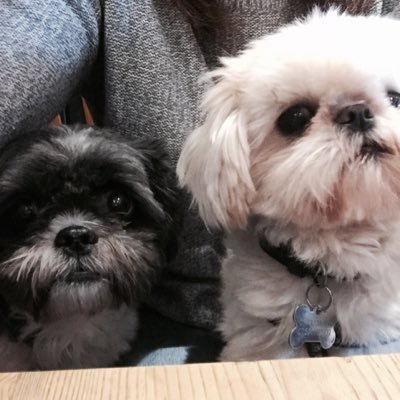 Profile Picture of Sandra Homer (@Sandrad1510) on Twitter