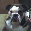 Profile Picture of Patrickkeegan (@@patrickkeegan) on Tiktok