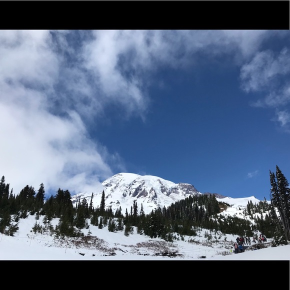 Chels Fornelli - Poshmark Profile Picture of Chels Fornelli (@chelsfornelli) on Poshmark