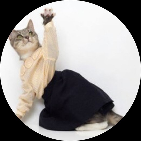 Profile Picture of Alice Lee (@geegeebee3) on Poshmark