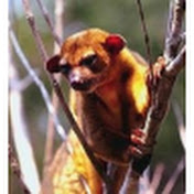 Profile Picture of Joshua Crank (@joshuacrank796) on Youtube