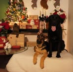 Profile Picture of Christopher Jazdzewski (@Christopher-Jazdzewski) on Facebook