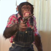 Profile Picture of Jeff Browning (@tomk2010) on Youtube