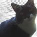 Profile Picture of Terry Checksfield (@tchecksf) on Pinterest