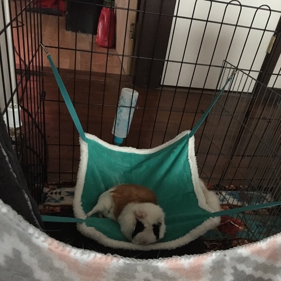 Profile Picture of Thaysha Gagne (@thayshag) on Poshmark