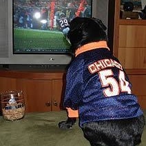 Profile Picture of Daniel Koehn (@mattdamonmaintanceman) on Myspace