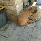 Profile Picture of Jovanka Drazevic (@jovankadrazevic4259) on Youtube