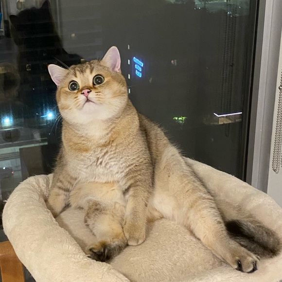 Profile Picture of Zou Kaatthhyy (@zoukaatthhyy) on Poshmark