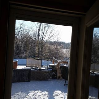 Profile Picture of David Prosser II (@david.prosserii) on Facebook