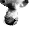 Profile Picture of Douglas Albert (@Douglas Albert) on Flickr