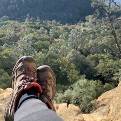 Profile Picture of Colleen (@colleenphd) on Twitter