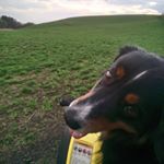 Profile Picture of someone or something (@matthew_riehm) on Instagram