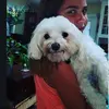 Profile Picture of fionastefanpt2 (@fionastefanpt2) on Tiktok