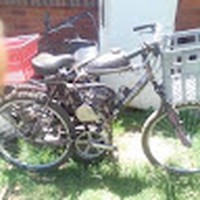 Profile Picture of David Zini (@david-zini-5) on Quora