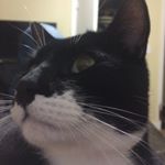 Profile Picture of Pat Barrett (@thequietcenter) on Instagram