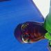 Profile Picture of Maxwell Campbell (@maxwell.campbell.980) on Facebook