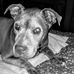 Profile Picture of Sandra Shaffer (@sandra.shaffer.718) on Facebook