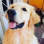 Profile Picture of Castro Cadima David (@ale.cc24) on Instagram