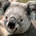 Profile Picture of Matthew Breuer (@matthewpaulbreuer2) on Pinterest