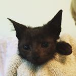 Profile Picture of Bradyfosters (@bradyfosters) on Instagram