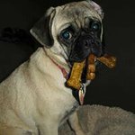Profile Picture of debbie805 (@debbie.mattos805) on Instagram