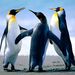 Profile Picture of yujing huang (@yujingh) on Pinterest