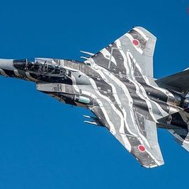 Profile Picture of Eagleboy (@eaglebo61308221) on Twitter