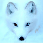Profile Picture of Kyle Warden  (@KyleWarden08) on Youtube