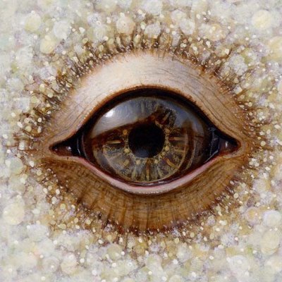 Profile Picture of Murgue Trading (@murgue) on Twitter