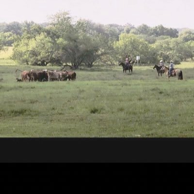 Profile Picture of Sonny Mathews (@sonnymathews3) on Twitter