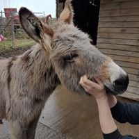 Profile Picture of Danielle Millmore (@danielle-millmore) on Quora