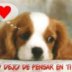 Profile Picture of Marlene Navarrete (@marlene74290029) on Twitter
