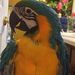 Profile Picture of Debra Wooten (@debraapplin0263) on Pinterest