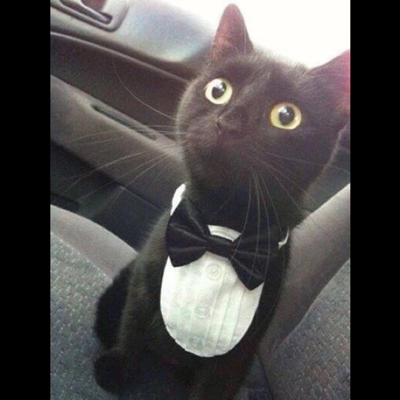 Profile Picture of Bob Bobby (@pikachuswag) on Poshmark