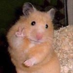 Profile Picture of casper the goast (@lifeofbigshawn) on Instagram
