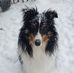 Profile Picture of Sue Mankowski (@sue.mankowski.5) on Facebook