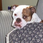 Erin Montgomery Casey - Instagram Profile Picture of Erin Montgomery Casey (@erin.casey.7545) on Instagram