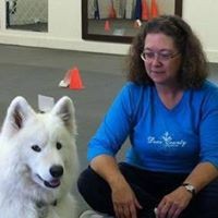 Profile Picture of Kathy Stepp (@kathy-stepp-4) on Quora