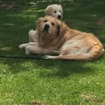 Profile Picture of Michelle Moriarty (@michelle.moriarty.3576) on Facebook