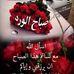 Profile Picture of Malak Amira Chidi (@malakamira.chidi.9) on Facebook