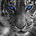 Profile Picture of Dylan Craven (@dylan.craven.94) on Facebook