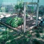 Profile Picture of Rena Paulene Barrett- Aubrey (@renaaubery) on Instagram