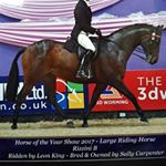 Profile Picture of Sally Carpenter (@sally.carpenter.144) on Instagram