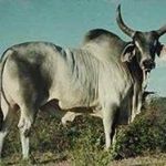Profile Picture of Edwin Mojica (@edwin.mojica.39395) on Instagram